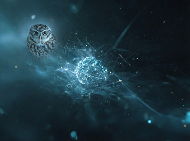 Finetuning lokaler KI-Modelle mit unternehmensspezifischen Daten